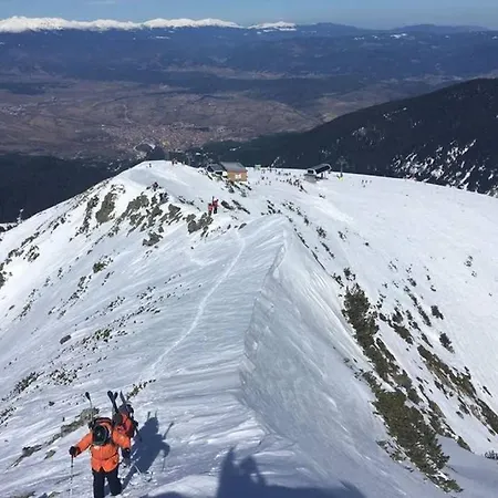 Sunny - Few Steps From Gondola バンスコ