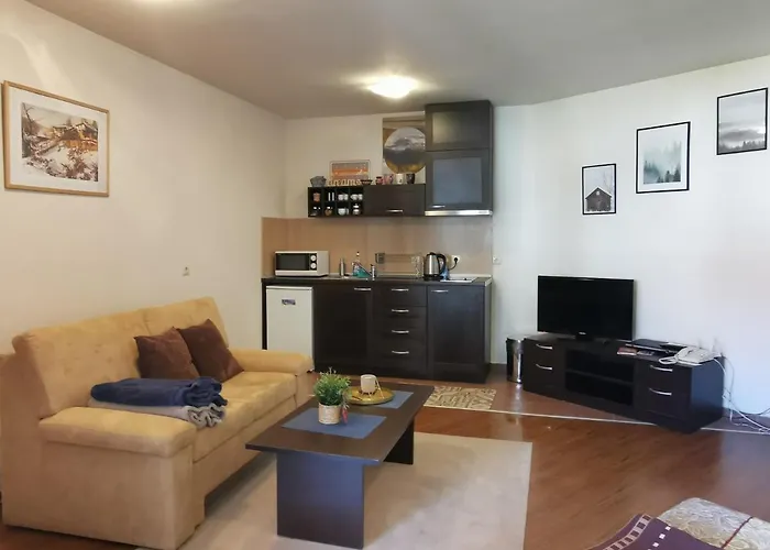 Sunny - Few Steps From Gondola Apartment *