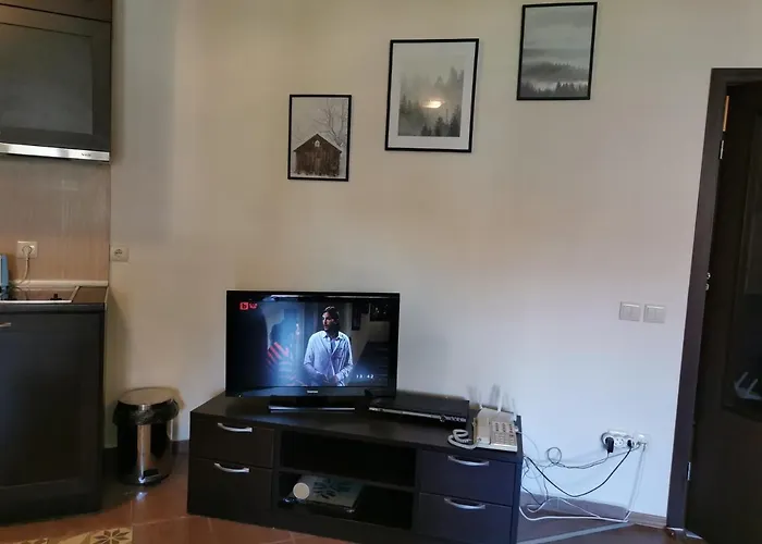 Sunny - Few Steps From Gondola